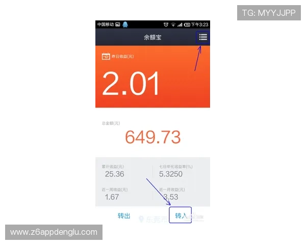 尊龙网站支付方式多样性及资金安全保障措施全面解析